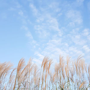 Meet your Posher, Peishan